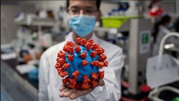 Mutaciones del coronavirus en Chile: ¿se han encontrado y qué peligros tienen?