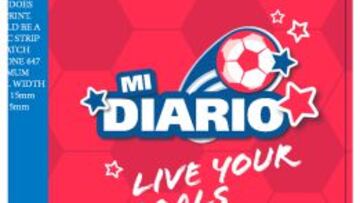 La FIFA crea un dossier para el desarrollo del fútbol femenino