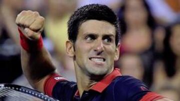 Djokovic se deshace de un incómodo Petzschner y alcanza la tercera ronda