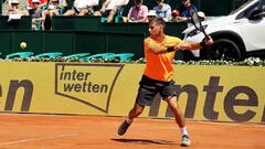 Del Potro vence a Dzumhur y disputará la final ante Fognini