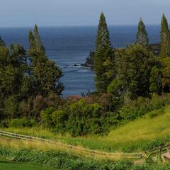 How much does it cost to play at Kapalua’s Plantation Course on Maui?