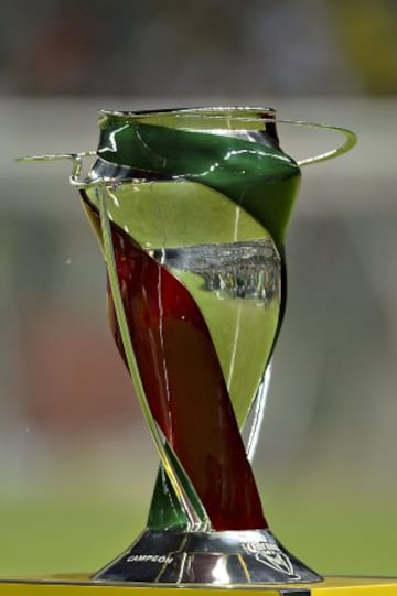 La hermosa Copa MX