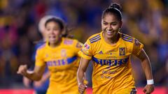 Tigres (2-0) América: Resumen del partido y goles
