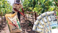 Bono Agrario 2022: cómo saber si lo cobro y link para consultar con mi DNI