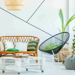 ¿Se pueden regar las plantas con el agua que suelta el aire acondicionado?