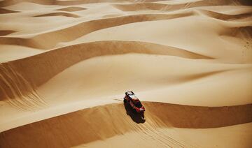 Sebastien Loeb y Daniel Elena.