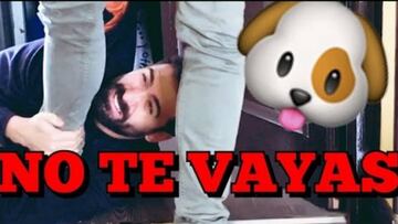 Cómo sería la vida si tus amigos se comportaran como perros