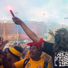 Aficionado de Tigres sigue grave, se encuentra en terapia intensiva