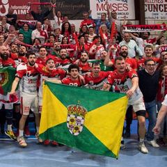 El Nava logra un histórico ascenso a la Liga Asobal