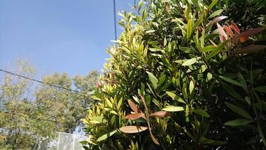 Xperia XA 1 Ultra: Review