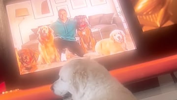 Alexis comparte un tierno video junto a su perro en Instagram: así reaccionan a su propio comercial