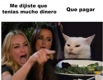 Meme gato