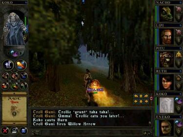 Activision ya duplica los CDs de Wizards & Warriors