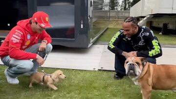 El tierno momento entre Lewis Hamilton y Charles Leclerc