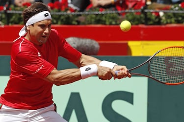 David Ferrer.