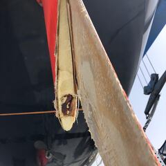 ‘Corsario’ sufre un ataque de orcas en su camino hacia la Copa del Rey MAPFRE