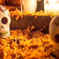 Complejo Cultural Los Pinos tiene preparadas varias actividades para el festival ‘Rostros de azúcar’