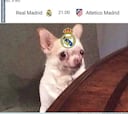 La previa del derbi se cuela entre los memes de los cuartos de Copa