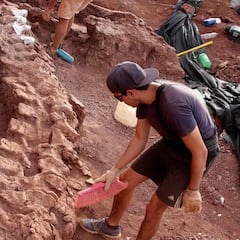 Unos fósiles hallados en Argentina pueden ser del dinosaurio más grande del mundo