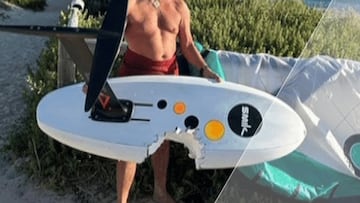 Tabla de wingfoil mordida por un tiburón blanco