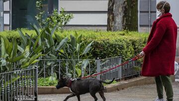 Coronavirus: ¿puedo sacar al perro todos los días si vivo solo?