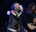 ¿Por qué Maroon 5 no recibió las gaviotas en el escenario?