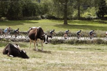 Las mejores imágenes de la Vuelta