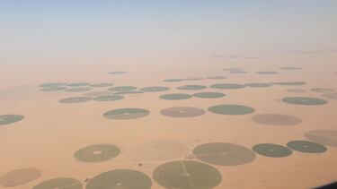 Un desierto sorprendente