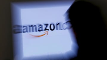 FILE PHOTO: A zoomed illustration image of a man looking at a computer monitor showing the logo of Amazon is seen in Vienna November 26, 2012. REUTERS/Leonhard Foeger/File Photo