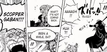 One Piece error Oda