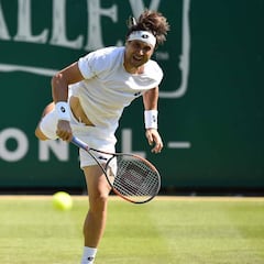 David Ferrer y Andy Murray regresan por la senda del triunfo