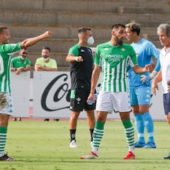 Las disyuntivas de Pellegrini
