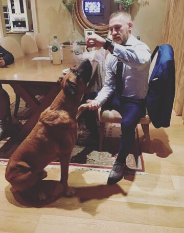 McGregor prefiere las mascotas más comunes, y su adoración es su perro Hugo. 