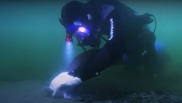 El buceador y minero submarino Chris Kelly en el mar de Bering.