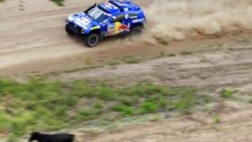 <b>LA SEGUNDA. </b>Carlos Sainz ya lleva dos victorias en este Dakar, una por cada etapa disputada. El madrileño va a por todas.