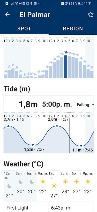 5 elementos para empezar a practicar Surf hoy mismo