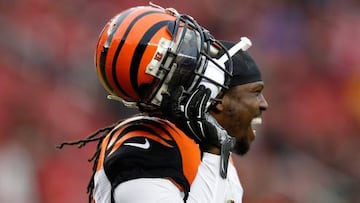 Reggie Nelson llega a los Raiders para suplir al retirado Charles Woodson.