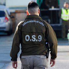 Nuevo robo en el Gobierno: qué pasó, cómo avanza la investigación y qué dijo el subsecretario