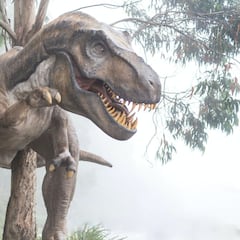 Encuentran un inesperado vivero de dinosaurios en el Ártico