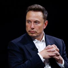 How many companies does Elon Musk own?