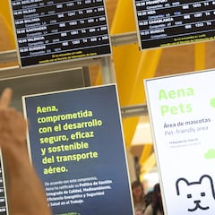 Adiós a perder el avión: el ‘truco’ para evitar el overbooking en los vuelos de verano y no quedarte tirado en tierra