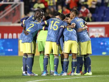 La Selecci&oacute;n Colombia se enfrent&oacute; a Ecuador en el &uacute;ltimo amistoso del a&ntilde;o. El partido se llev&oacute; a cabo en el Red Bull Arena de New Jersey.
 