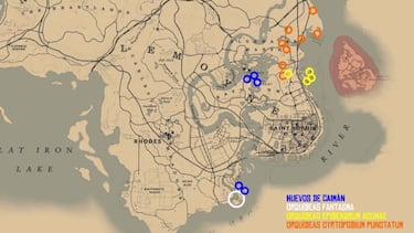 Todos los objetos exóticos de Red Dead Redemption 2