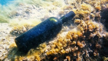 Sealed bottle of wine under water. Caspian Sea.