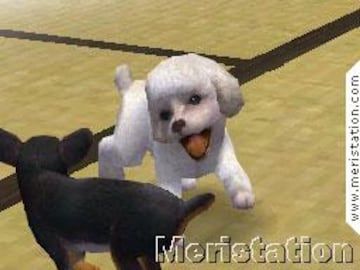 Captura de pantalla - nintendogs_06.jpg