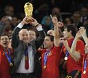 Del Bosque: “Viéndolo ahora, me gusta más el equipo que en 2010”