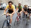 Bernard Hinault, el tejón nunca suelta a su presa