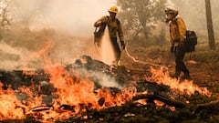 Firefighters work to control a backfire operation conducted to slow the advancement on a hillside during the Oak Fire in Mariposa County, California.