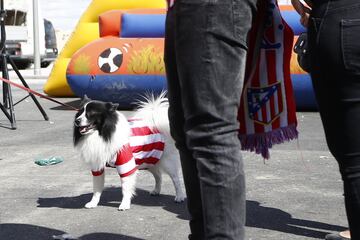 Desde las 10:00 de la mañana los aficionados atléticos celebran el estreno del nuevo estadio rojiblanco Wanda Metropolitano en los alrededores del estadio.
