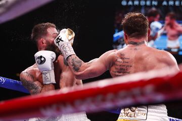 El color de la pelea entre 'Canelo' Álvarez y Caleb Plant